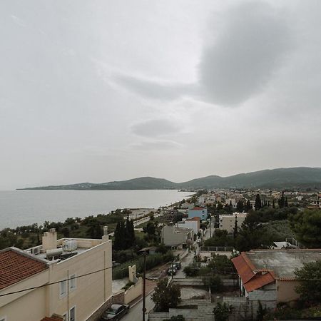 Ferienwohnung Niki House Volos Exterior foto